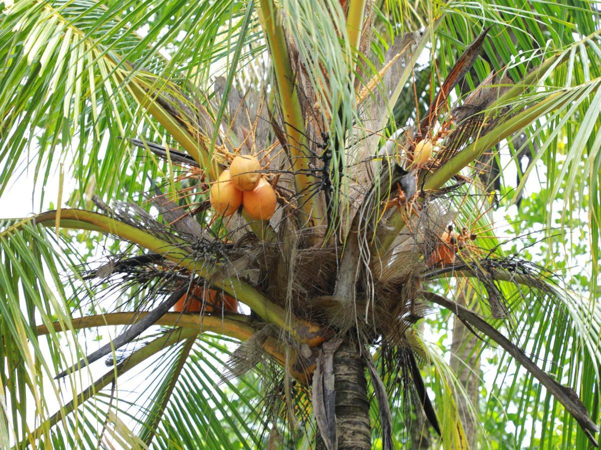 Ruwan Villa Ahangama Luaran gambar
