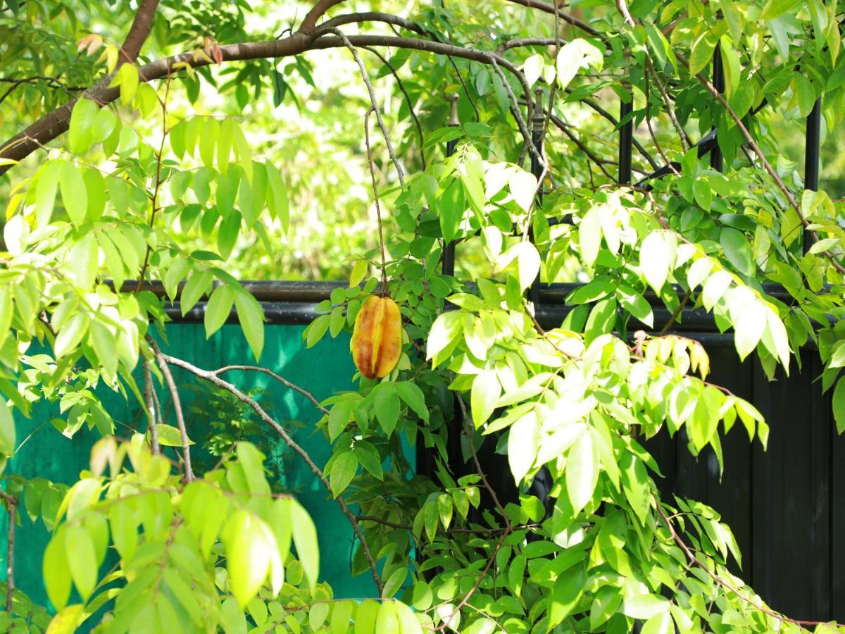 Ruwan Villa Ahangama Luaran gambar